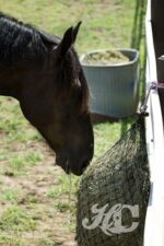Horse Slow feeder - Image 4