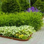 Corten steel landscape edging 39.4×5.1in - Image 2